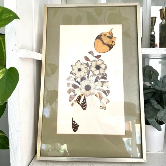 Vintage Butterfly Wing Art Flower Collage Framed Real Wings Unique Wall Art Boho